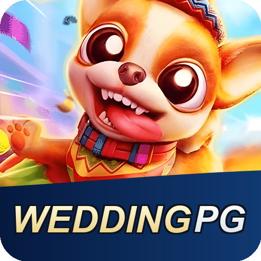 Verificação KYC WEDDINGPG